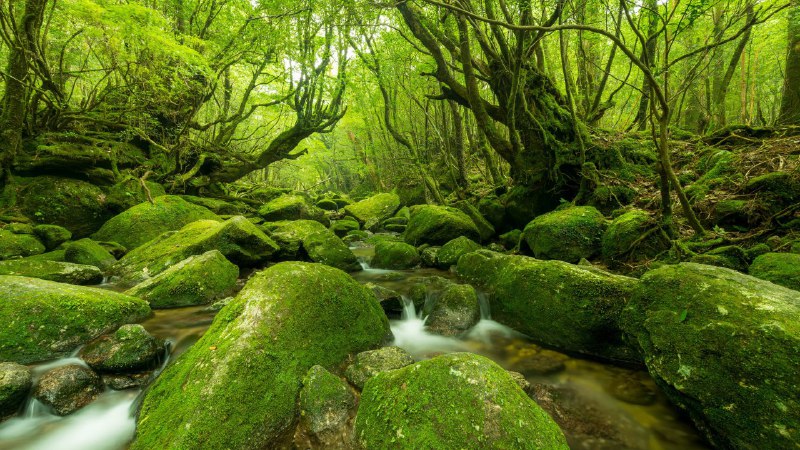 #祝福 #毕业 #找工作 #顺利时值本学期后半段，许多硕士生、博士生在经历论文审查(外审)之后便要参加答辩、最终毕业