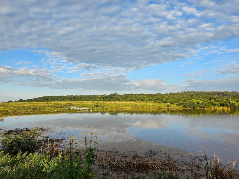 #旅游  #观点分享 #优秀 #推荐简介