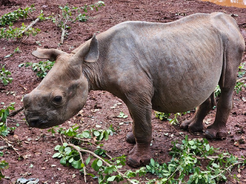 #旅游  #观点分享 #优秀 #推荐简介