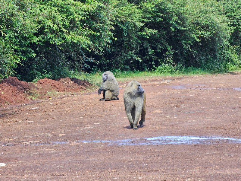 #旅游  #观点分享 #优秀 #推荐简介