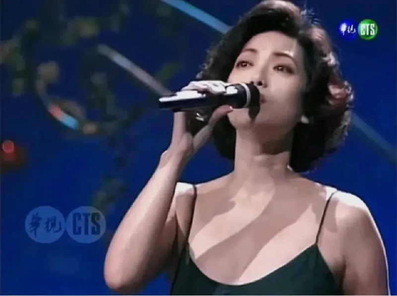 #蔡琴 #文章 #分享分享我的一篇博文